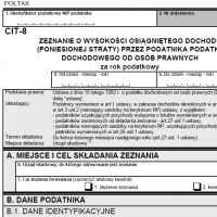 Zeznanie CIT-8 za 2013 r. - kto i kiedy składa je w 2014 roku