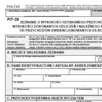 Zeznanie PIT-28 za 2013 r.